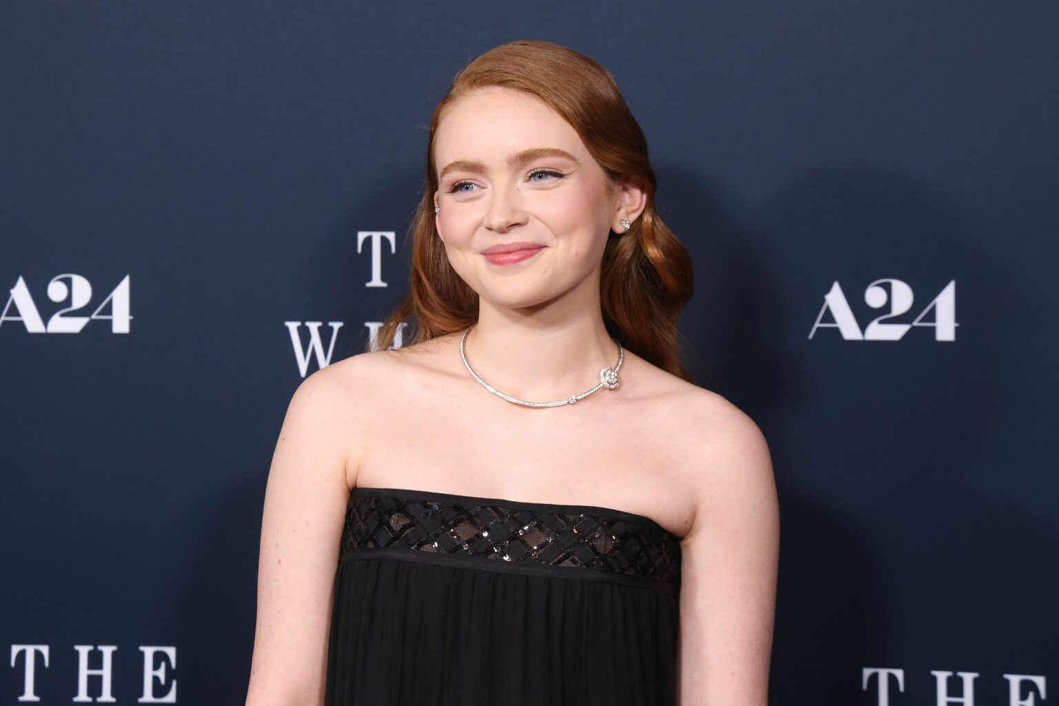 Sadie Sink Net Worth How Much Wealth Does The Stranger Things Actor