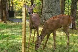 Enhancing Privacy and Security: Deer Fencing for Residential Properties